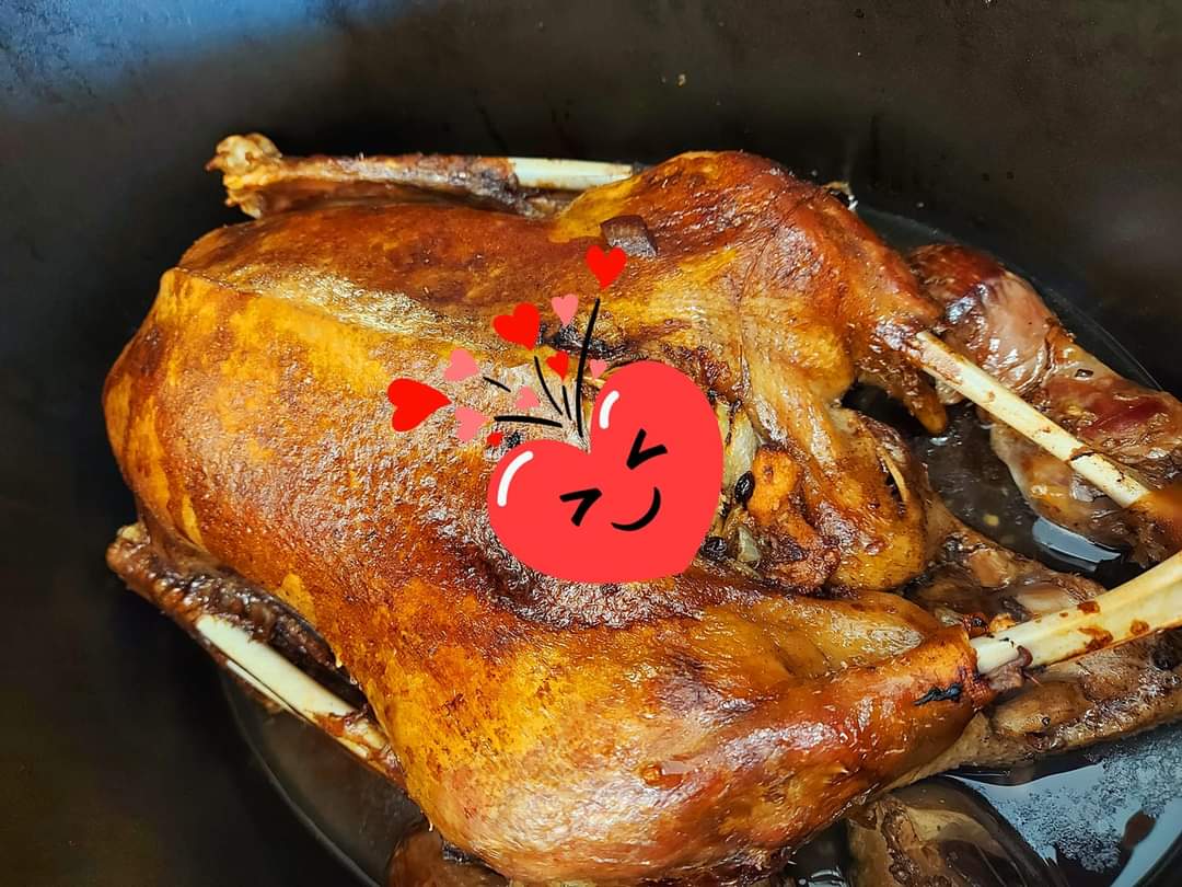 Gans
