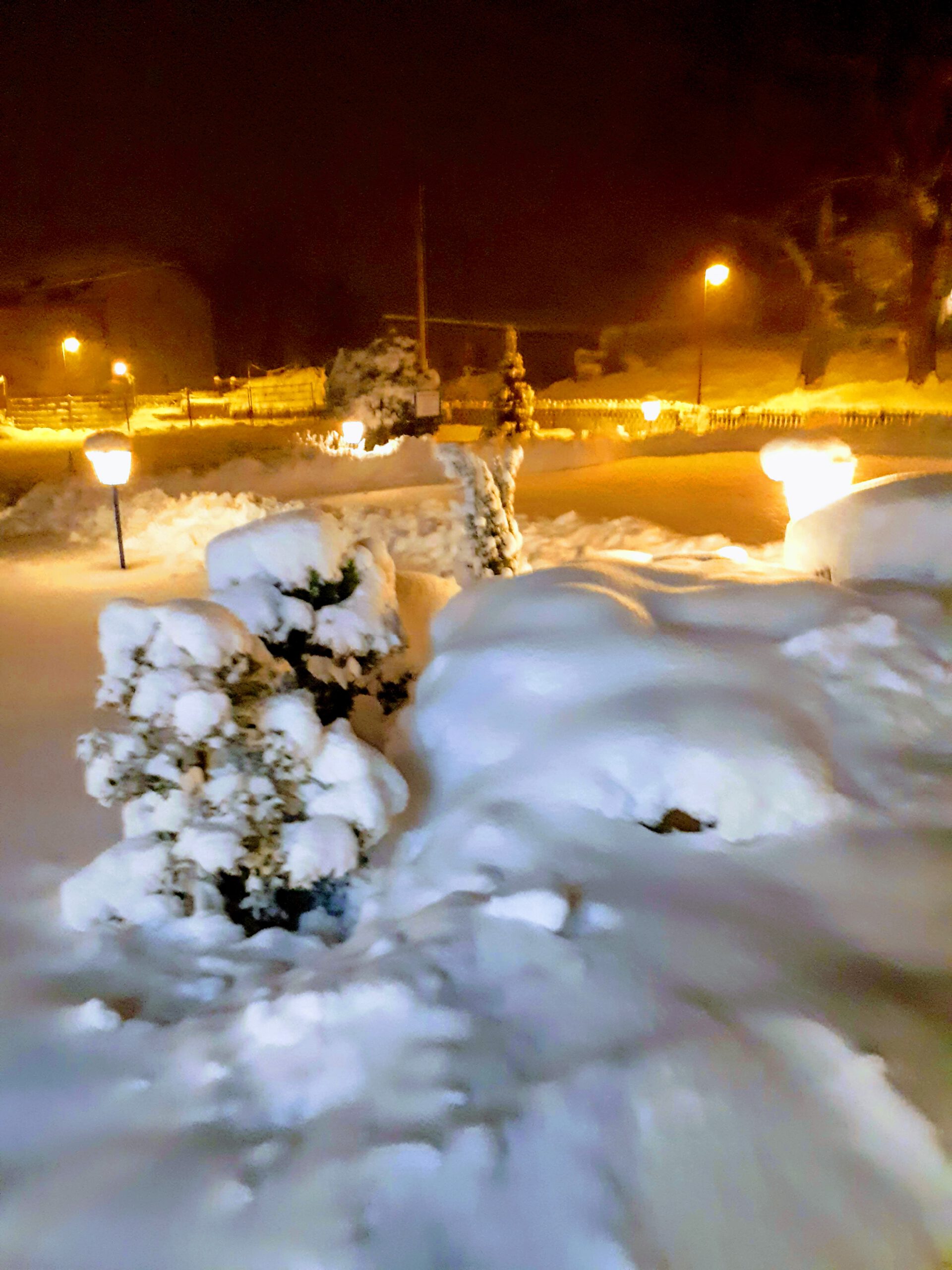 Winter